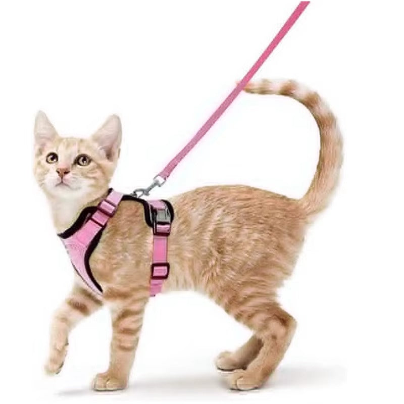SafeStep Cat Harness