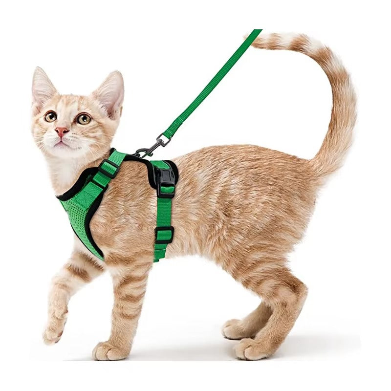SafeStep Cat Harness